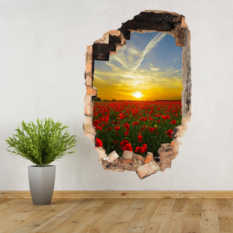 Add your photo Vinyl Wall  Art  Hole  in Wall  Portrait